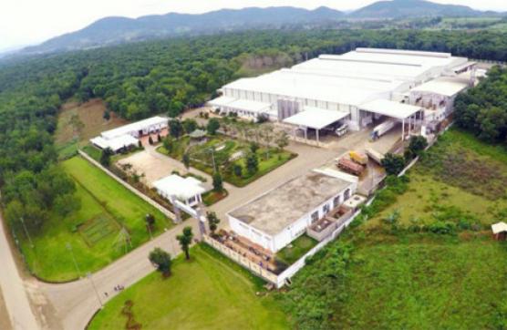 Cấp ống xoắn HDPE cho nhà máy sữa TH True Milk